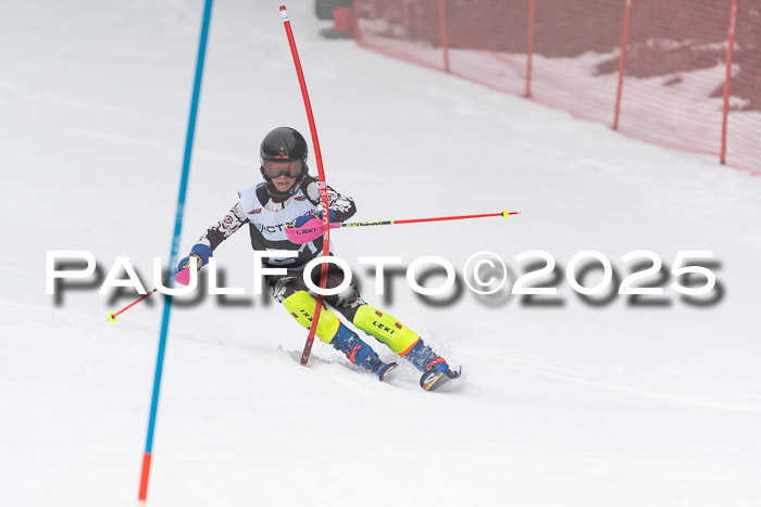Actanol Schülercup Alpin U14 SL, 14.02.2026