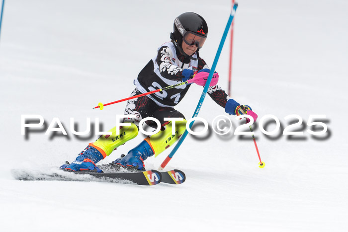 Actanol Schülercup Alpin U14 SL, 14.02.2026