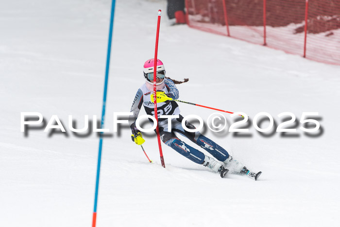 Actanol Schülercup Alpin U14 SL, 14.02.2026