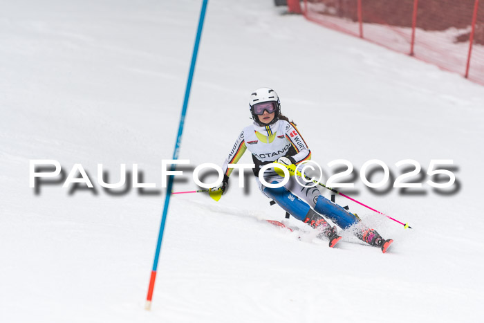 Actanol Schülercup Alpin U14 SL, 14.02.2026