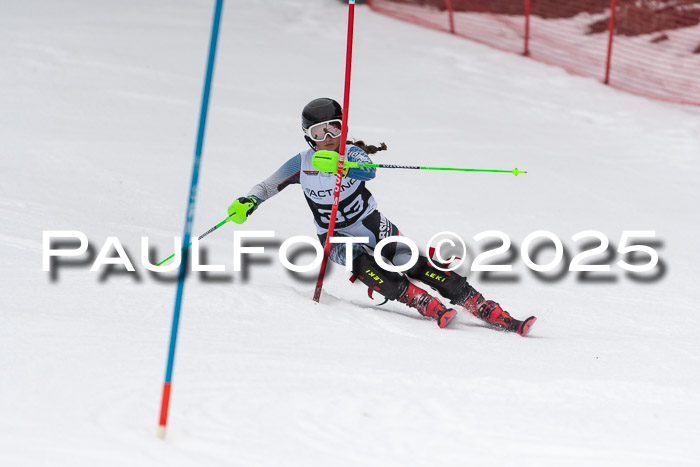 Actanol Schülercup Alpin U14 SL, 14.02.2026