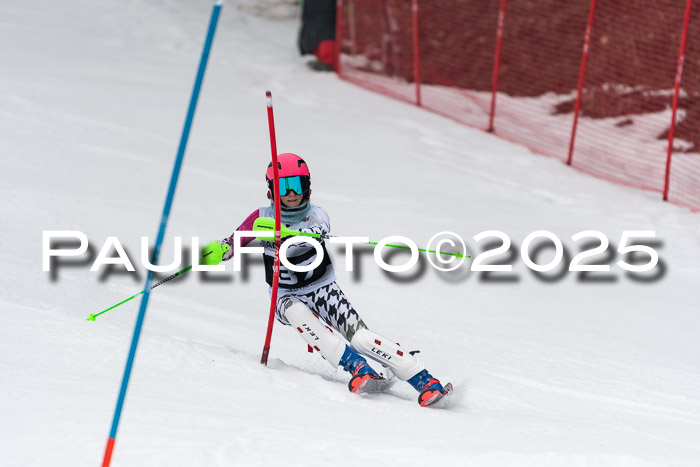 Actanol Schülercup Alpin U14 SL, 14.02.2026