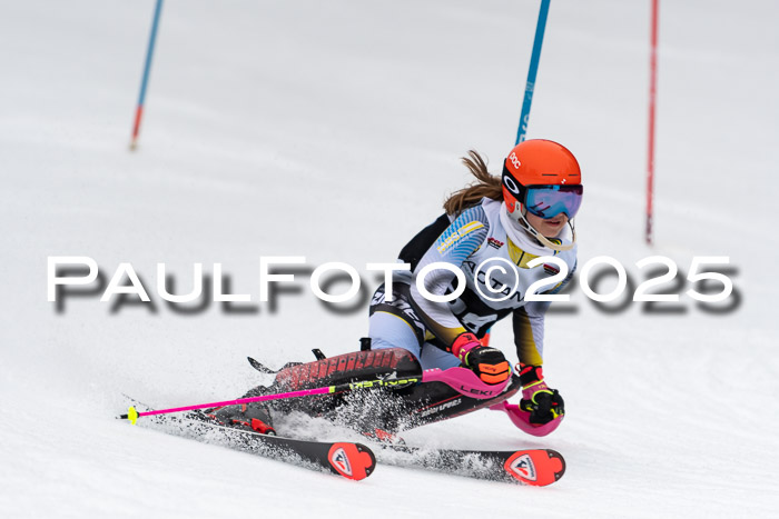 Actanol Schülercup Alpin U14 SL, 14.02.2026