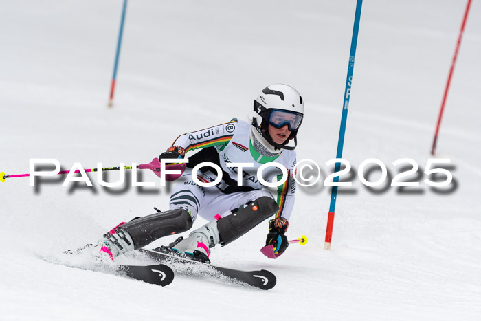 Actanol Schülercup Alpin U14 SL, 14.02.2026
