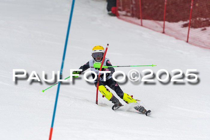 Actanol Schülercup Alpin U14 SL, 14.02.2026