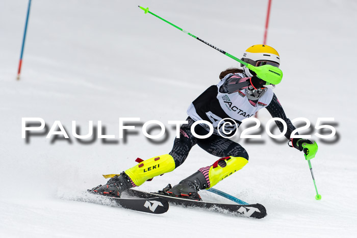 Actanol Schülercup Alpin U14 SL, 14.02.2026