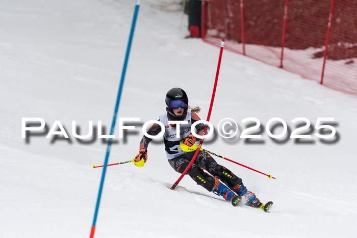 Actanol Schülercup Alpin U14 SL, 14.02.2026