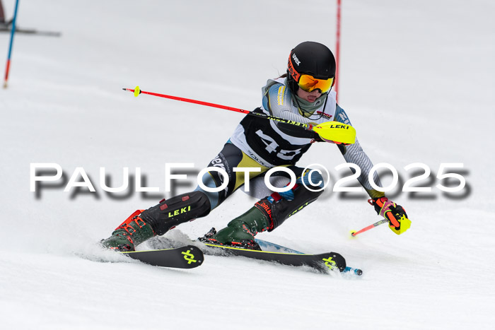 Actanol Schülercup Alpin U14 SL, 14.02.2026
