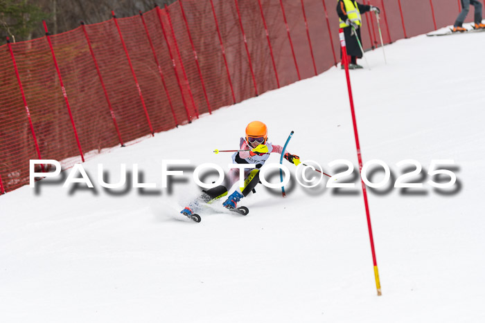 Actanol Schülercup Alpin U14 SL, 14.02.2026