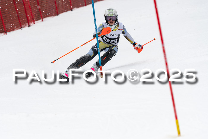 Actanol Schülercup Alpin U14 SL, 14.02.2026