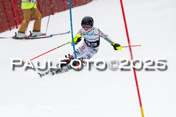 Actanol Schülercup Alpin U14 SL, 14.02.2026