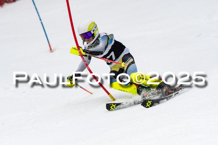 Actanol Schülercup Alpin U14 SL, 14.02.2026