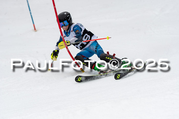 Actanol Schülercup Alpin U14 SL, 14.02.2026