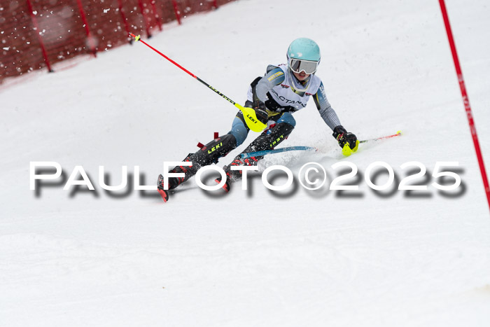 Actanol Schülercup Alpin U14 SL, 14.02.2026