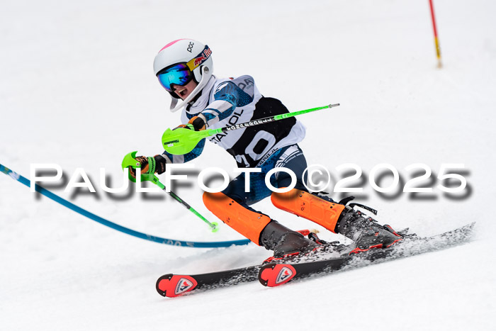 Actanol Schülercup Alpin U14 SL, 14.02.2026
