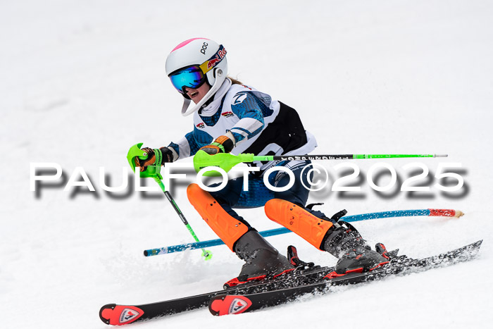 Actanol Schülercup Alpin U14 SL, 14.02.2026