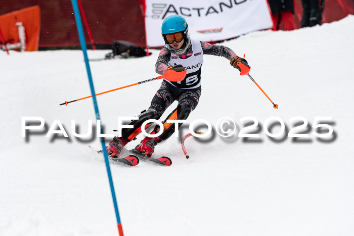 Actanol Schülercup Alpin U14 SL, 14.02.2026