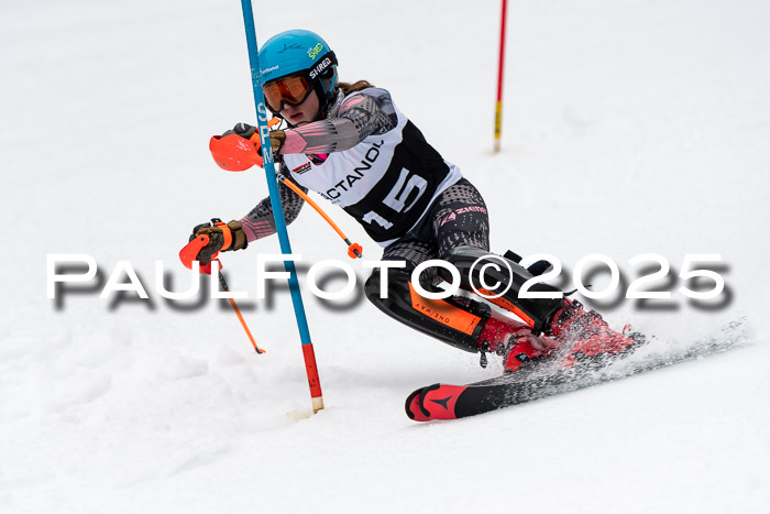 Actanol Schülercup Alpin U14 SL, 14.02.2026