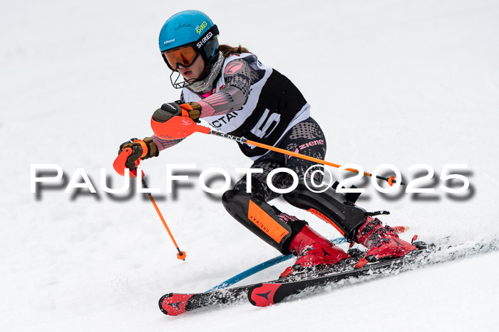 Actanol Schülercup Alpin U14 SL, 14.02.2026