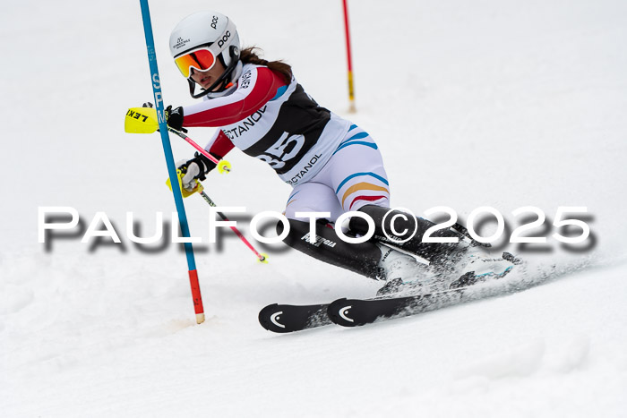 Actanol Schülercup Alpin U14 SL, 14.02.2026
