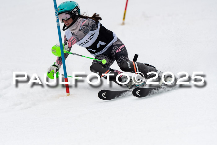 Actanol Schülercup Alpin U14 SL, 14.02.2026