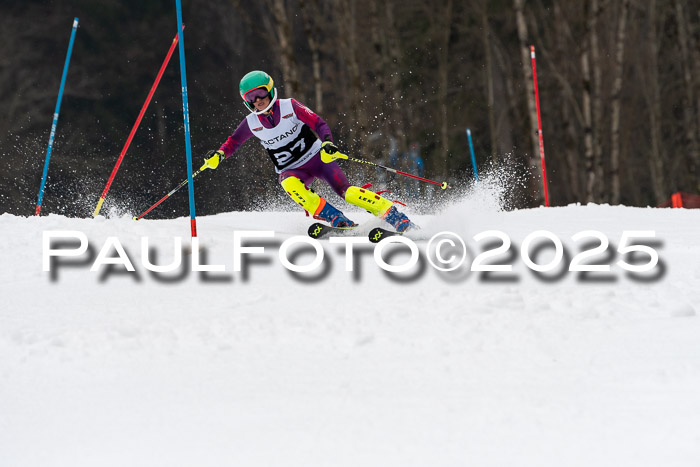 Actanol Schülercup Alpin U14 SL, 14.02.2026