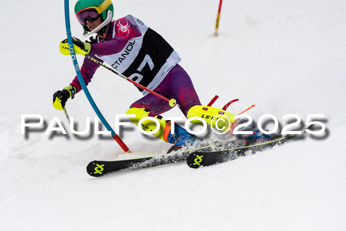 Actanol Schülercup Alpin U14 SL, 14.02.2026