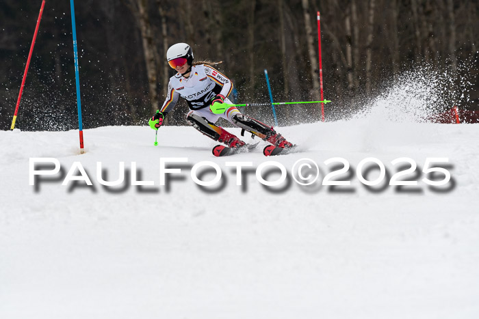 Actanol Schülercup Alpin U14 SL, 14.02.2026