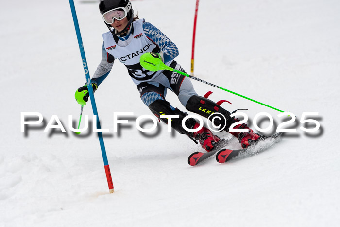 Actanol Schülercup Alpin U14 SL, 14.02.2026