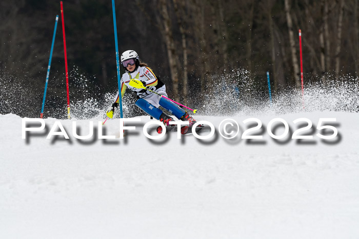 Actanol Schülercup Alpin U14 SL, 14.02.2026