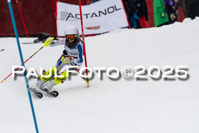 Actanol Schülercup Alpin U14 SL, 14.02.2026