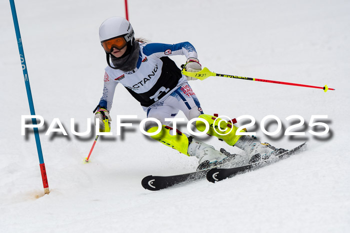 Actanol Schülercup Alpin U14 SL, 14.02.2026