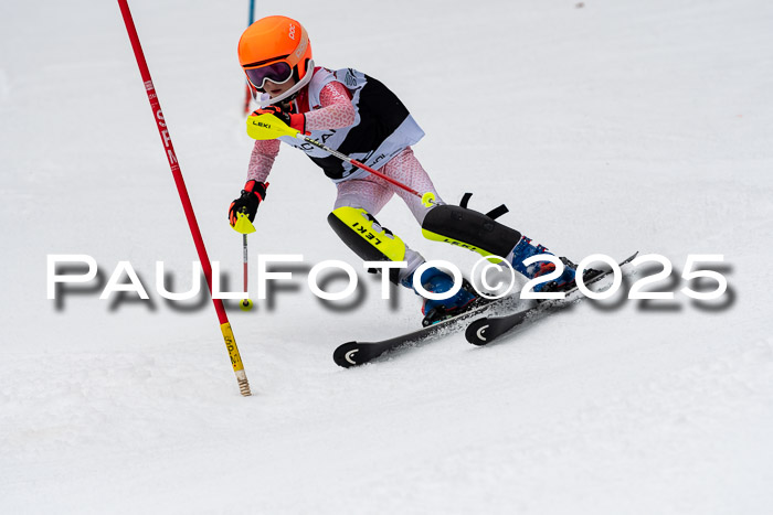 Actanol Schülercup Alpin U14 SL, 14.02.2026