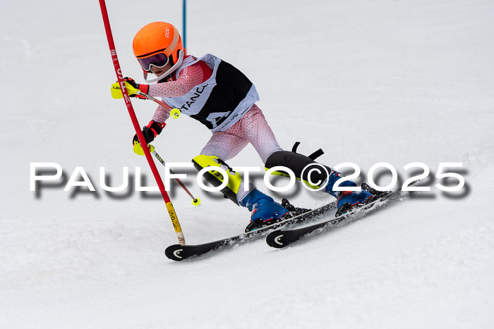 Actanol Schülercup Alpin U14 SL, 14.02.2026