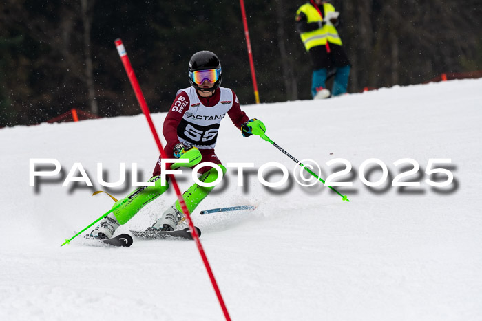 Actanol Schülercup Alpin U14 SL, 14.02.2026