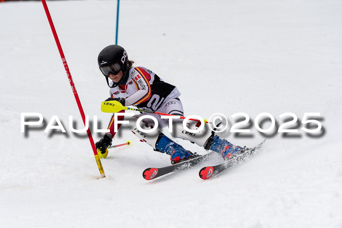 Actanol Schülercup Alpin U14 SL, 14.02.2026
