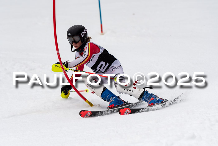 Actanol Schülercup Alpin U14 SL, 14.02.2026