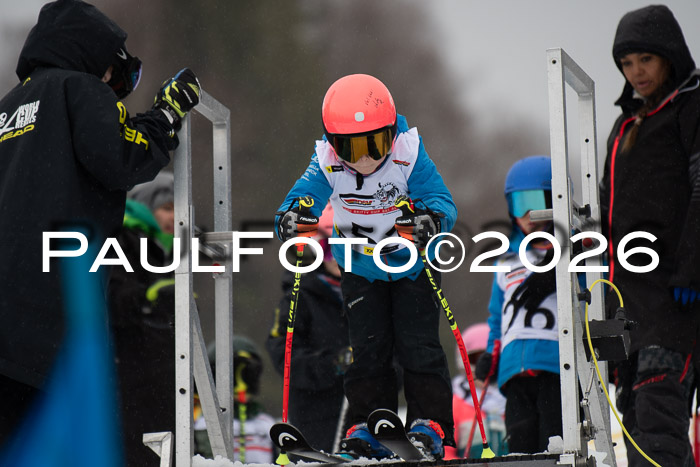 DSV Skitty Cup Geißach, 21.02.26