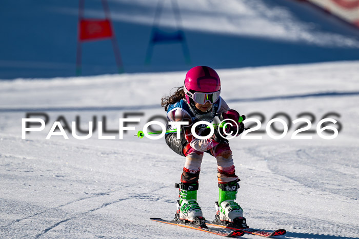 Sechzger Pokal der Skilöwen; U8 - U12 SVM Rennserie VRS 13.01.2024