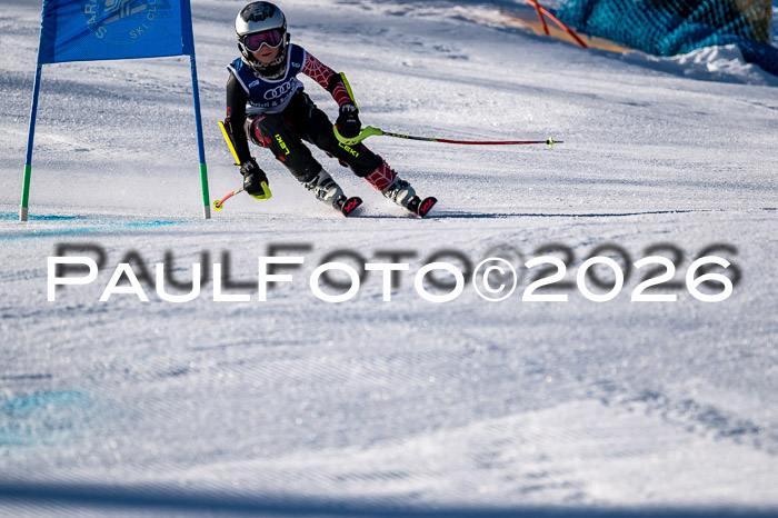Sechzger Pokal der Skilöwen; U8 - U12 SVM Rennserie VRS 13.01.2024