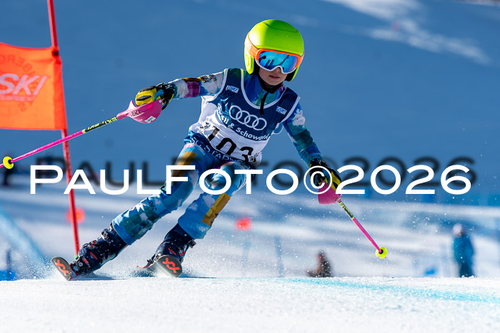 SVM U8/10 Sport Gürteler Cup Training, 28.02.2026