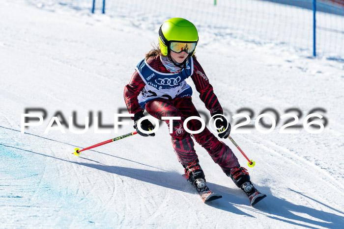 SVM U8/10 Sport Gürteler Cup Training, 28.02.2026