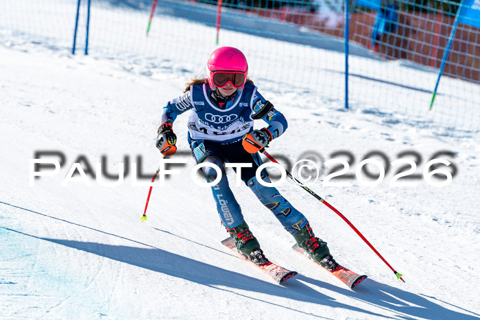 SVM U8/10 Sport Gürteler Cup Training, 28.02.2026