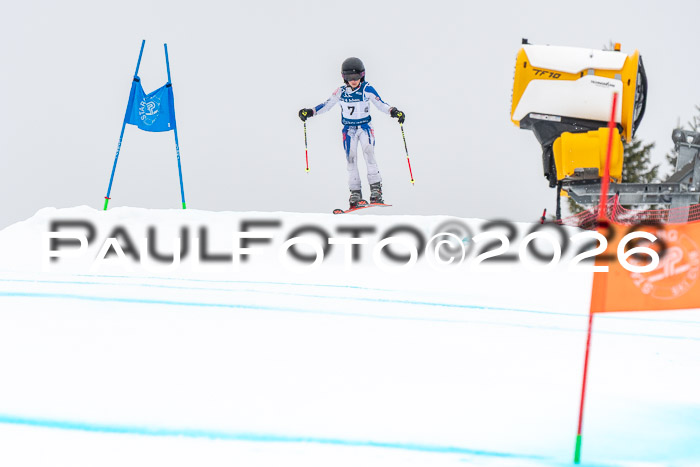 SVM  7. Stumbaum Hausfreunde Cup U12