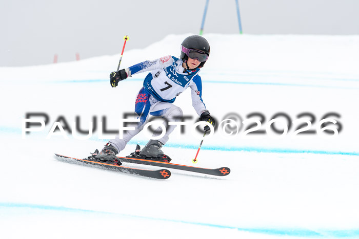 SVM  7. Stumbaum Hausfreunde Cup U12