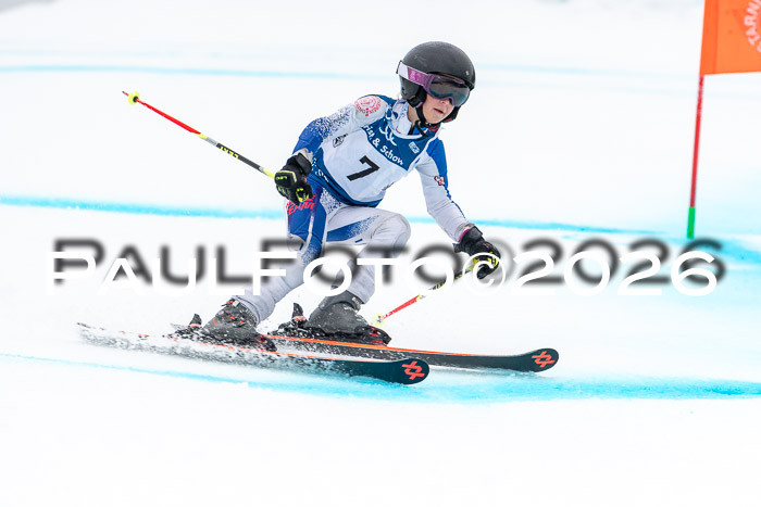 SVM  7. Stumbaum Hausfreunde Cup U12