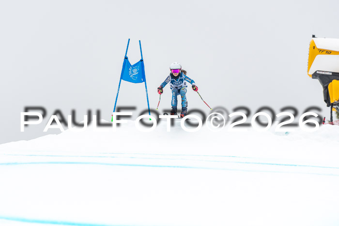 SVM  7. Stumbaum Hausfreunde Cup U12