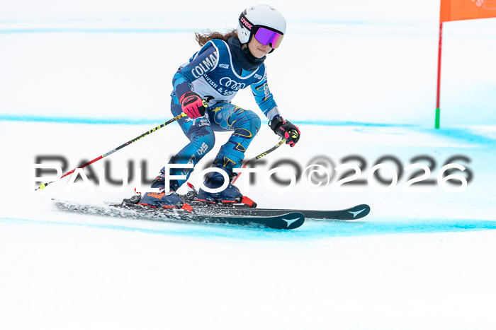 SVM  7. Stumbaum Hausfreunde Cup U12