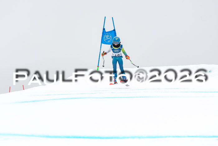 SVM  7. Stumbaum Hausfreunde Cup U12