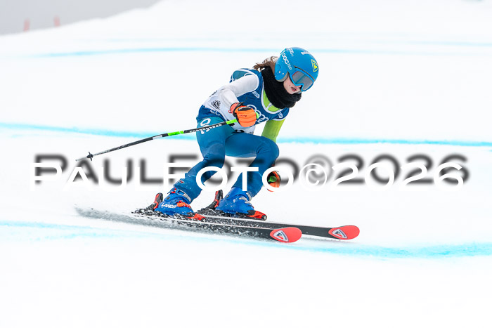 SVM  7. Stumbaum Hausfreunde Cup U12